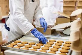 Food Processing Food