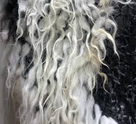 Cellulose Acetate Fiber Market