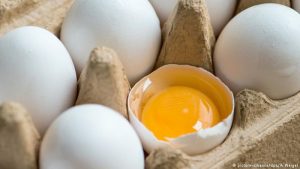 Fipronil Market