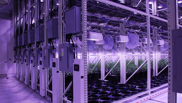 Mobile Vertical Growing Systems