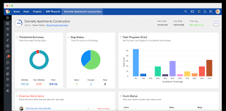 Project Management Software Systems
