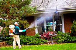 Global Mosquito Control Services Market 2017-2022
