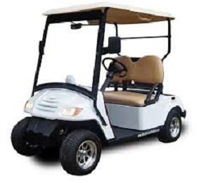 Golf Cart and Neighborhood Electric Vehicle