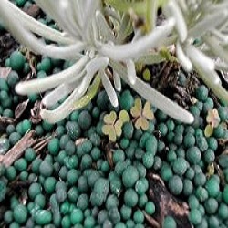 Microbial Herbicides Market