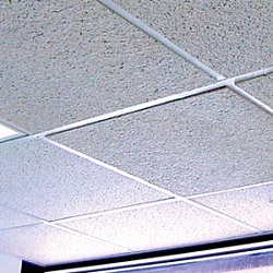 Acoustic Ceiling Tiles Market
