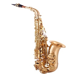 Acoustic Saxophone Market