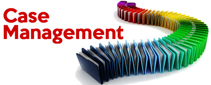 Case Management Software Market