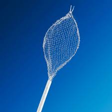 Endoscopy Baskets Market