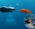 Powerray—an Underwater Drone for Marine Exploration and Fishing