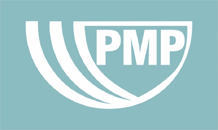 PMP, A Professional Way To Approach Your Projects